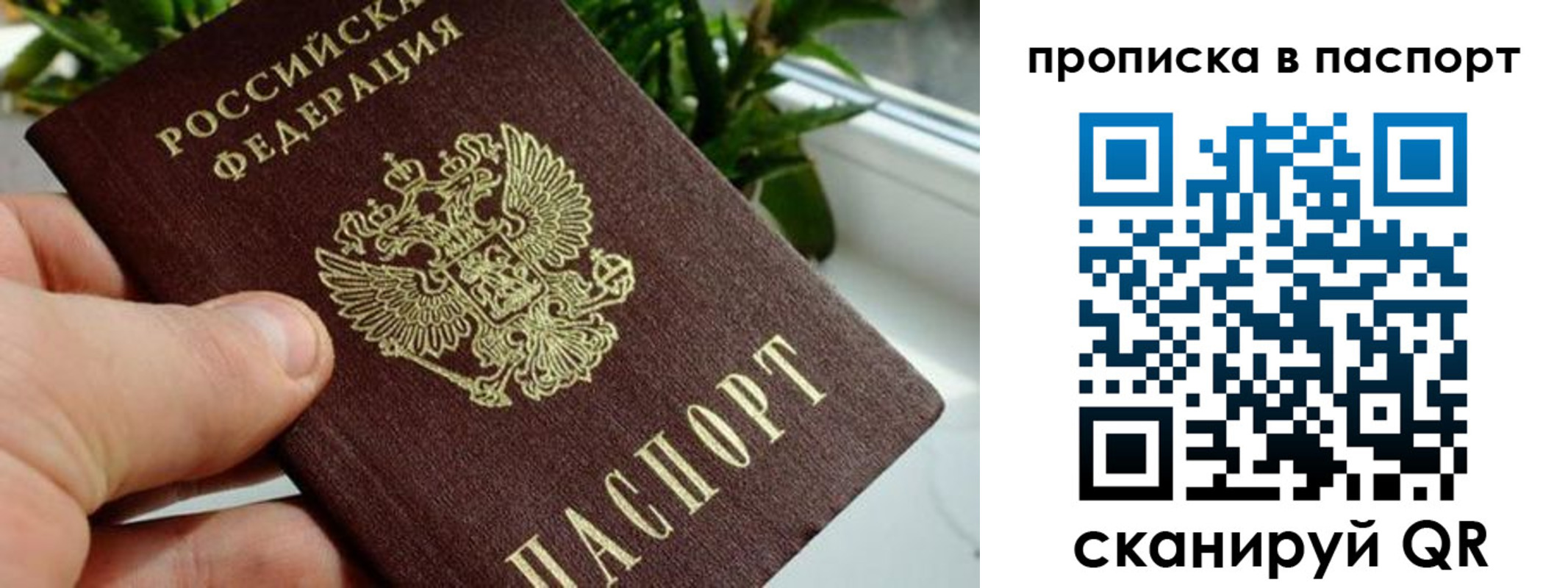 пропишу в квартире в Курчалом